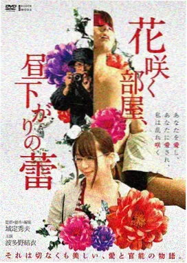伊丽莎白斯旺海盗王形象